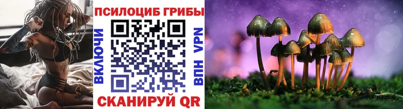 Псилоцибиновые грибы Cubensis  Ветлуга 